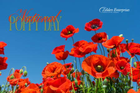 National Poppy Day Observance